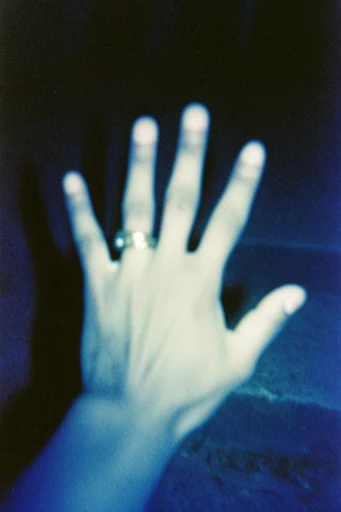 Gritty Analog Snapshot style reference image — lo-fi aesthetic