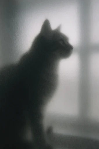 Cinematic Liminal Noir style reference image — voyeuristic framing