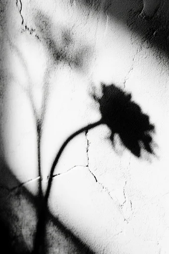 Eroded Monochrome Noir style reference image — pointillism