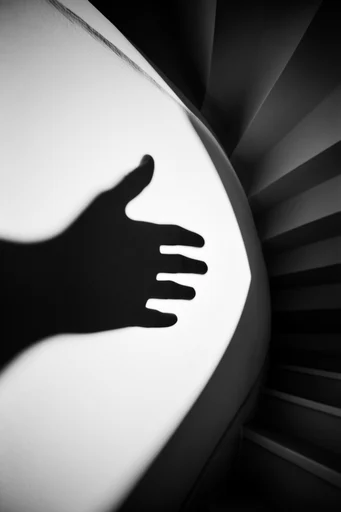 Monochromatic Brutalist Geometry style reference image — chiaroscuro lighting