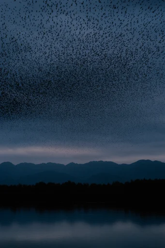 Ethereal Granular Twilight style reference image — pointillism