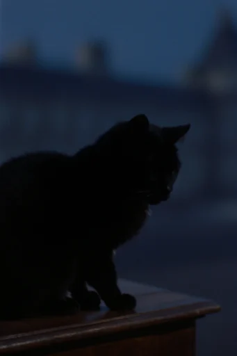 Cinematic Twilight Noir style reference image — low-key lighting