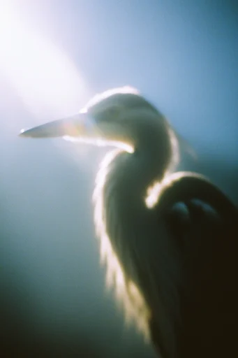 Luminous Melancholic Haze style reference image — muted teal and blue palette