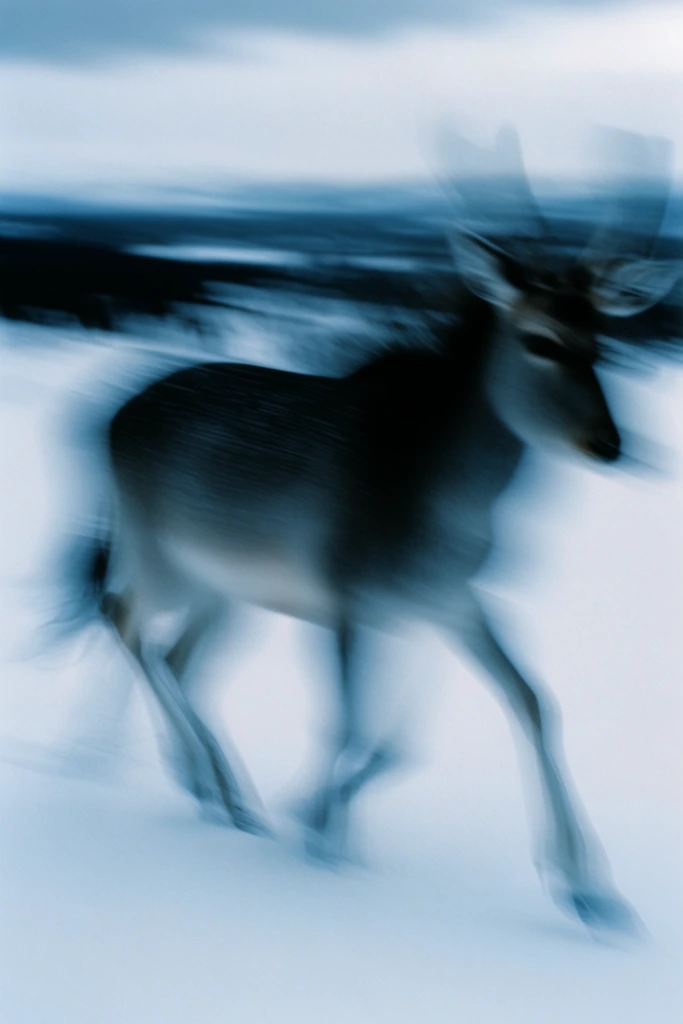 Spectral Motion Ethereality style AI image example 3