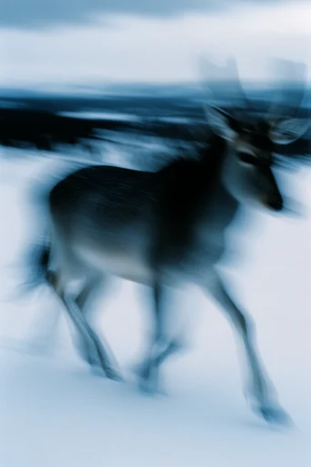 Spectral Motion Ethereality style AI image example 3