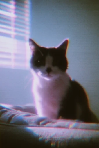 Ethereal Melancholic Dreamscape style reference image — soft-focus