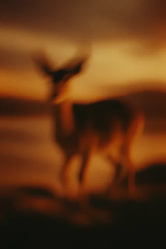 Ethereal Amber Pictorialism style reference image — amber sepia monochromatic