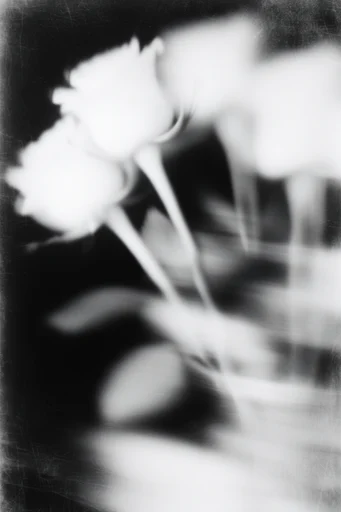 Kinetic Noir Abstraction style reference image — ghostly portraiture