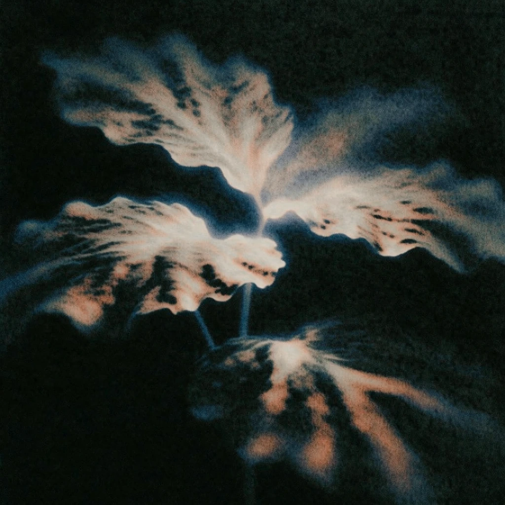 centered large botanical leaf illustration, surrounded by scattered typographic elements and technical icons in the corners, rendered in a heavily textured lo-fi analog style, high-grain 110mm film scan aesthetic, deep crushed indigo shadows, radiant amber bloom highlights, extreme peripheral blurring, smeary textures, luminous halations, eerie liminal atmosphere, high-contrast chiaroscuro, monochromatic depth with warm highlights, bitcrushed noise, ethereal soft-focus.