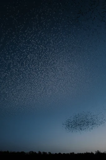 Ethereal Granular Twilight style AI image example 2