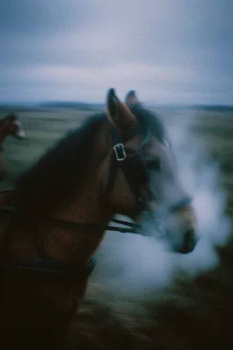 Atmospheric Analog Melancholy style reference image — muted atmospheric tones