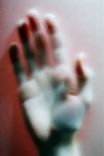 Tactile Refractive Obscurity style reference image — tactile barrier distortion