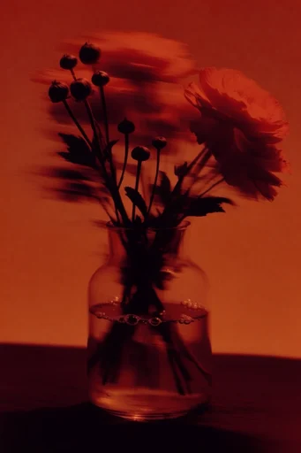 Crimson Kinetic Surrealism style reference image — shutter drag