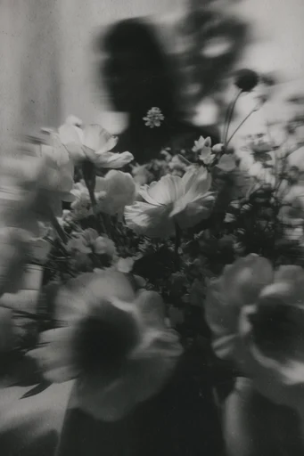 Distressed Monochrome Surrealism style reference image — gritty noir aesthetic