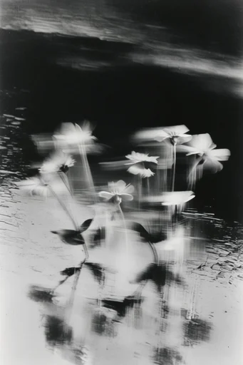 Spectral Analog Noir style reference image — scratched film texture