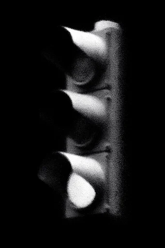 Velvety Monochrome Grain style reference image — high-contrast monochrome