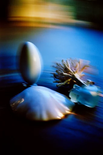Cinematic Nocturnal Blur style reference image — cinematic motion blur