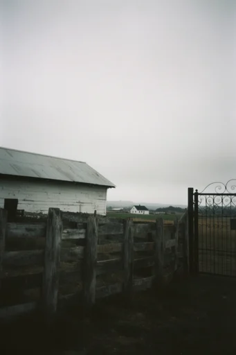 Cinematic Analog Melancholy style AI image example 2