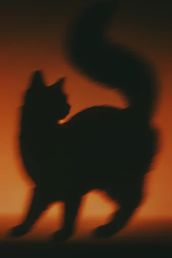 Cinematic Amber Noir style reference image — atmospheric rain