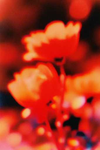 Crimson Analog Noir style reference image — lo-fi dreamscape