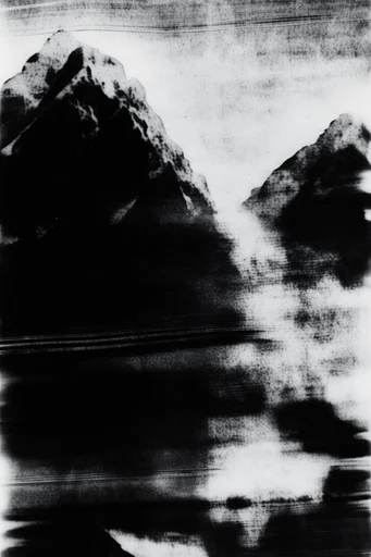 Monochrome Analog Disturbance style reference image — high-contrast monochrome