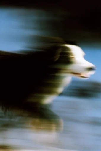 Kinetic Liquid Impressionism style reference image — saturated atmospheric blur