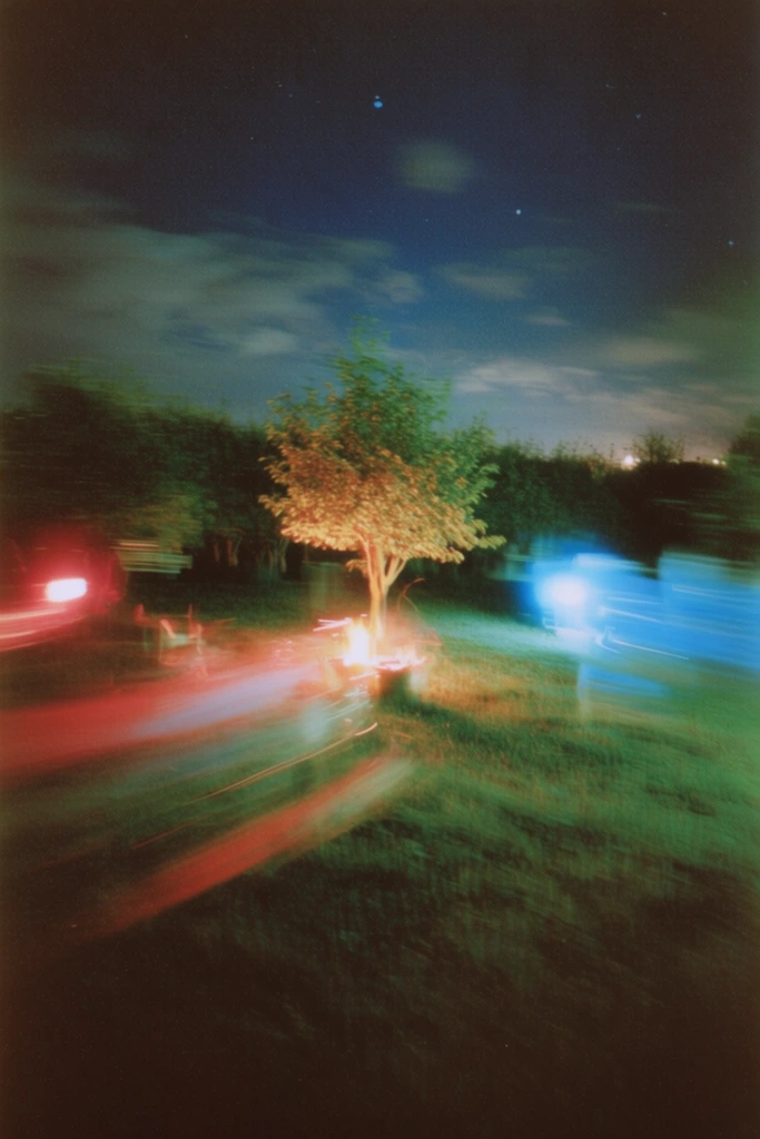 Cinematic Nocturnal Blur style AI image example 2