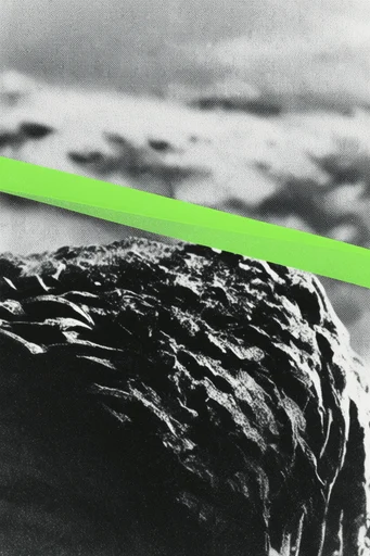 Acid Glitch Punk style reference image — halftone dither pattern