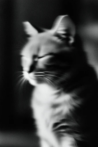 Spectral Monochrome Noir style reference image — stark chiaroscuro