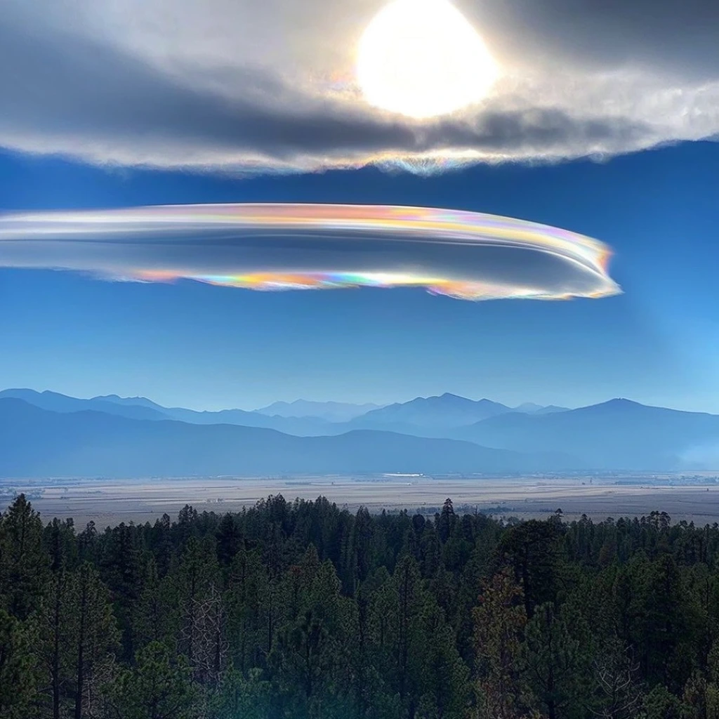 A sweeping landscape photograph of an iridescent lenticular cloud floating above a vast valley and hazy blue mountain ranges. Dense dark green evergreen trees fill the immediate foreground before giving way to a flat pale tan valley floor. In the bright blue sky, a striking horizontal cloud formation displays vivid rainbow iridescence along its curved edge, illuminated by an intense high sun partially obscured by a thicker, darker cloud layer directly above.