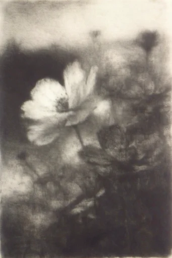 Monochrome Gothic Printmaking style reference image — atmospheric haze