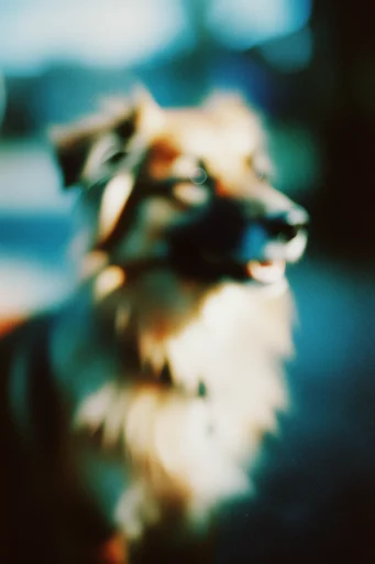 Ethereal Nocturnal Blur style reference image — painterly soft focus