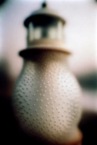 Tactile Ethereal Decay style reference image — shallow depth of field