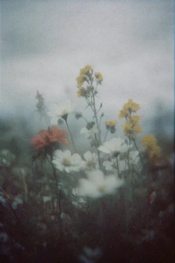 Analog Nostalgic Realism style reference image — candid documentary realism