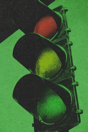 Toxic Glitch Dissonance style reference image — high-contrast duotone