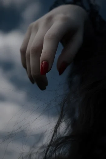 Cinematic Noir Minimalism style reference image — shallow depth of field