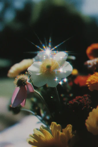 Retro Cosmic Nostalgia style reference image — soft focus bloom