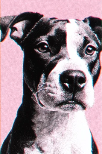 Graphic Halftone Pop style reference image — vibrant saturated colors