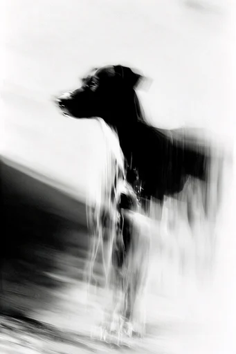 Spectral Minimalist Motion style reference image — charcoal smudge effect