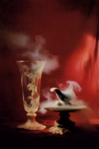 Haunting Pictorialist Ghostscapes style reference image — wet plate collodion