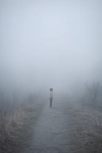 Ethereal Atmospheric Solitude moodboard — generate AI images in this style