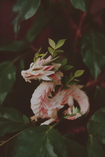 Nocturnal Analog Botanicals style reference image — chiaroscuro lighting