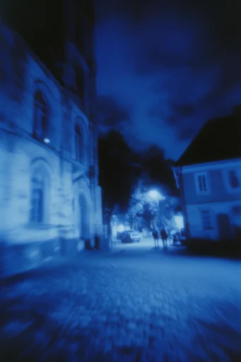 Ethereal Nocturnal Cyanotype style reference image — cyanotype blue