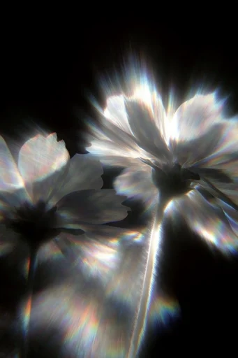 Ethereal Prismatic Luminance style reference image — radial light symmetry