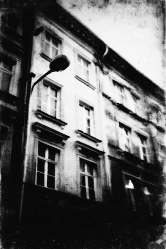 Analog Gritty Noir style reference image — high-contrast monochrome