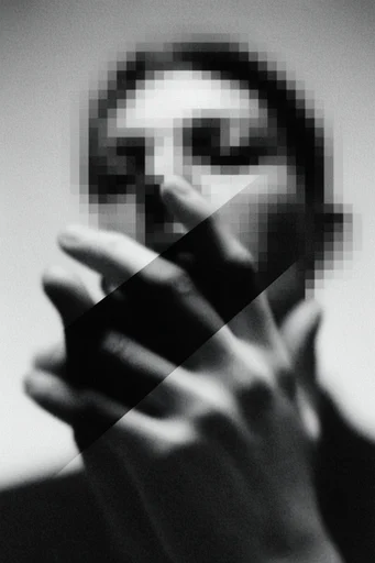 Monochrome Digital Decay style reference image — pixel sorting