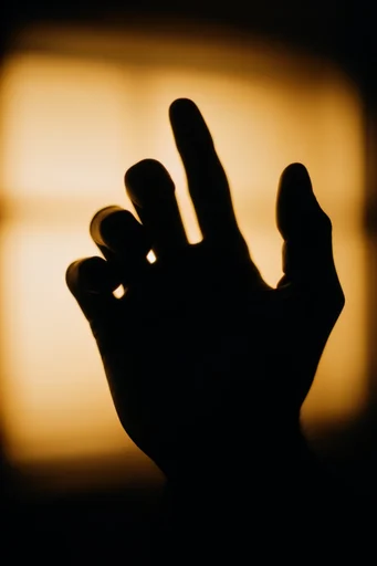 Luminous Amber Silhouette style reference image — golden hour glow