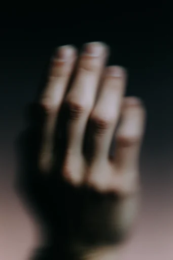 Cinematic Nocturnal Blur style reference image — motion blur