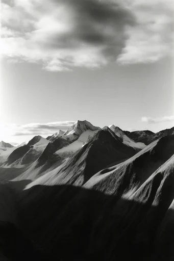 Cinematic Monochrome Noir style reference image — high-contrast black and white