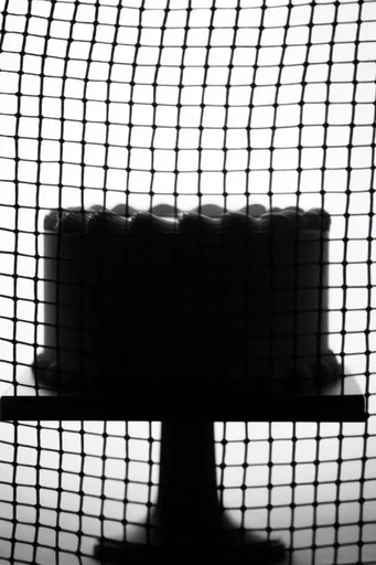 Monochrome Graphic Grids style reference image — op-art influence
